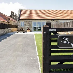 Stag At Broadings Farm Whitby